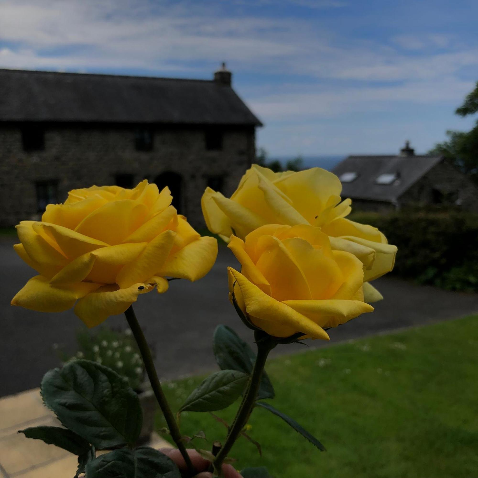 The Old Farmhouse B&B Dyffryn Ardudwy Exteriér fotografie