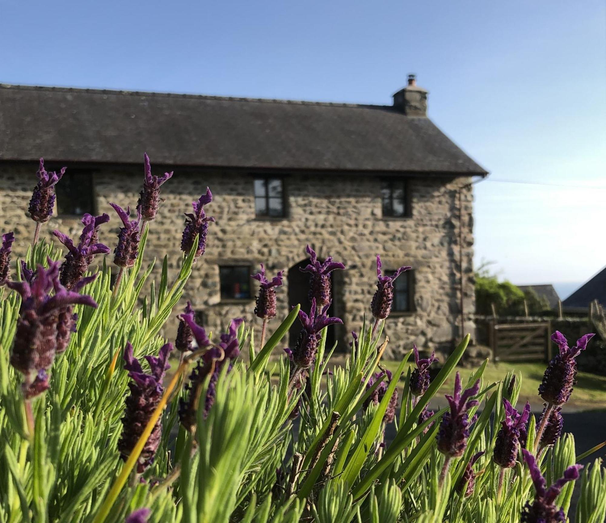 The Old Farmhouse B&B Dyffryn Ardudwy Exteriér fotografie